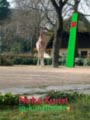 Hohekunst5